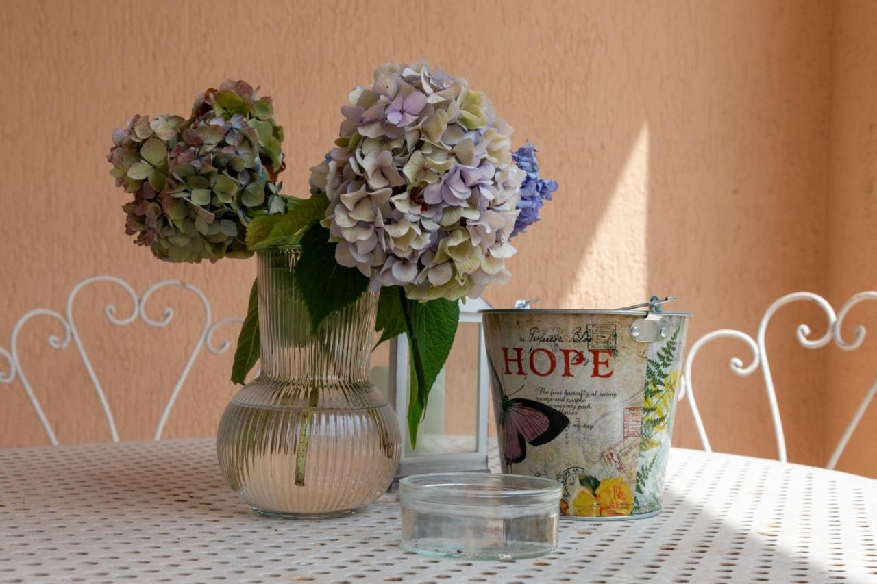 Maison Cecile Appartamento In Villa. Host Marianna Agliè エクステリア 写真